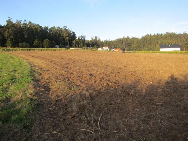 Terreno en calle Arzón s/n