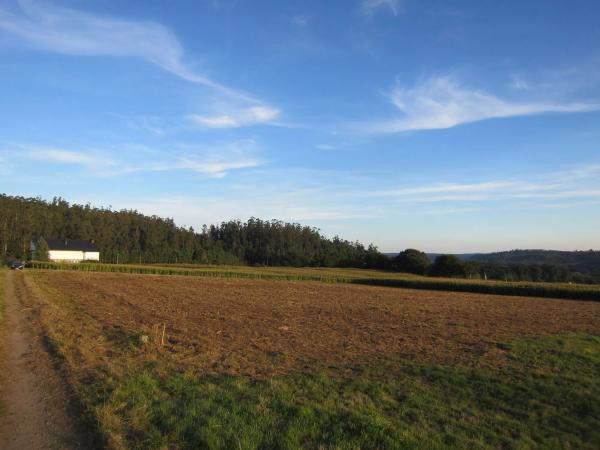 Terreno en calle Arzón s/n