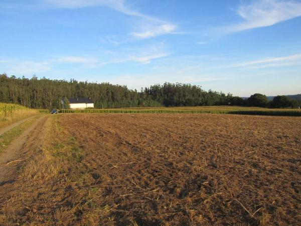 Terreno en calle Arzón s/n