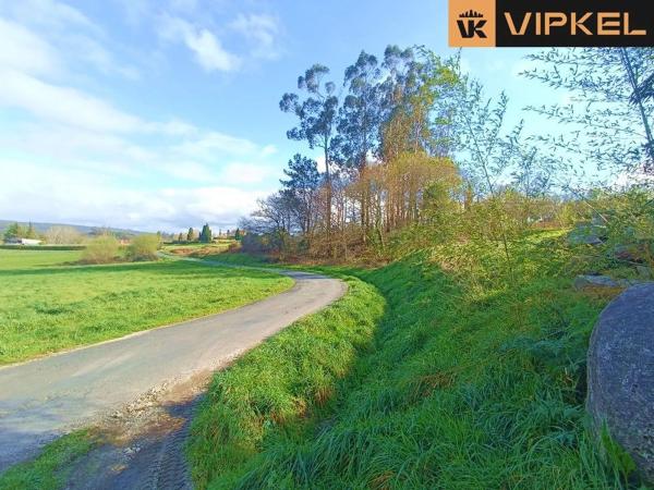 Terreno en San Vicenzo