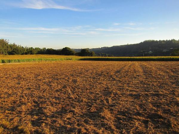 Terreno en calle Arzón s/n