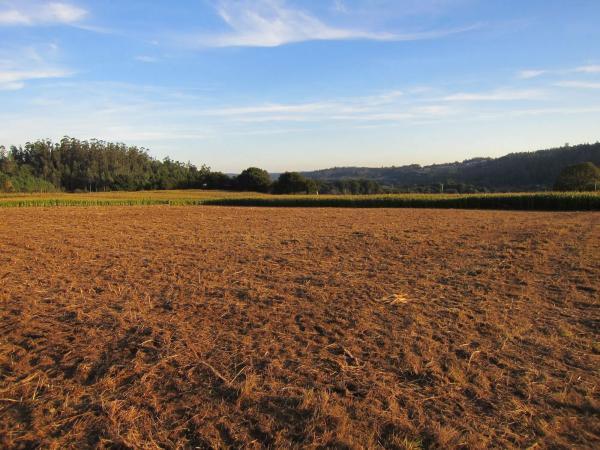 Terreno en calle Arzón s/n