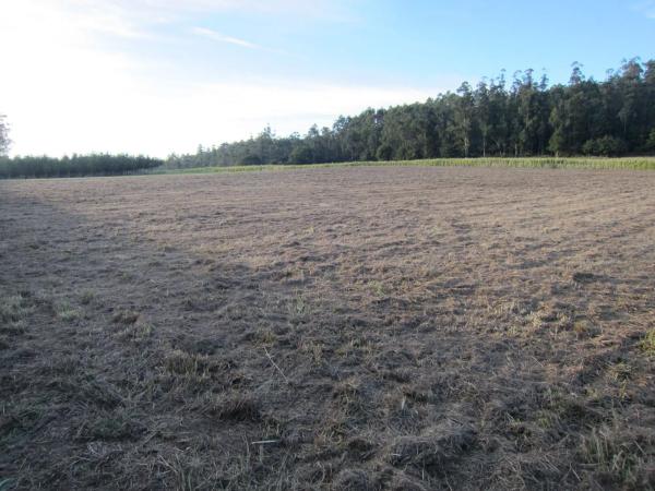 Terreno en calle Arzón s/n