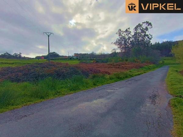 Terreno en San Vicenzo