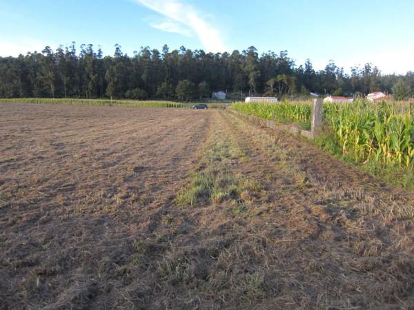 Terreno en calle Arzón s/n