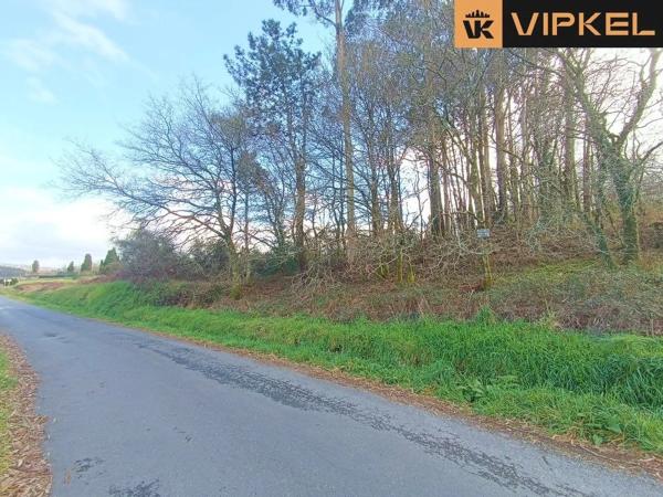 Terreno en San Vicenzo