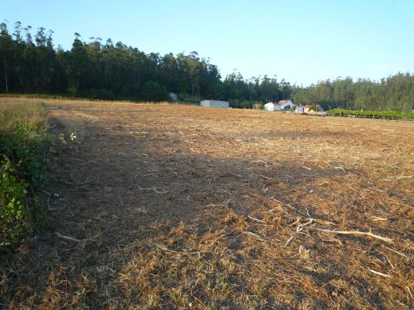Terreno en calle Arzón s/n
