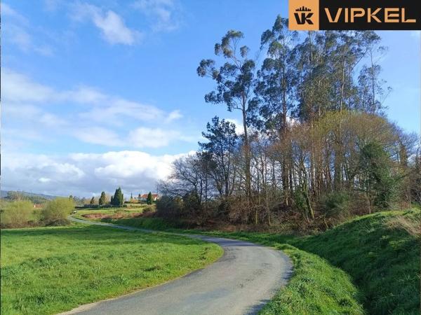 Terreno en San Vicenzo