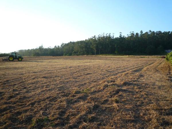 Terreno en calle Arzón s/n