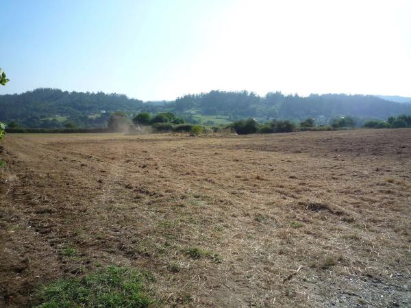 Terreno en calle Arzón s/n