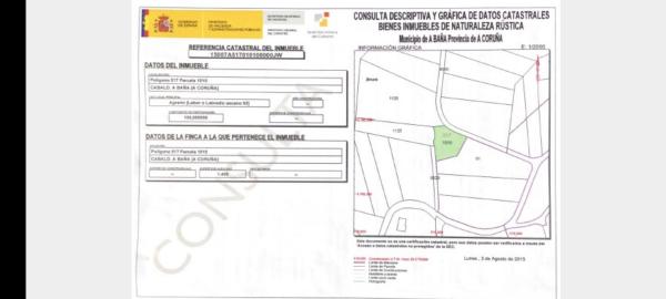 Terreno en San Vicenzo