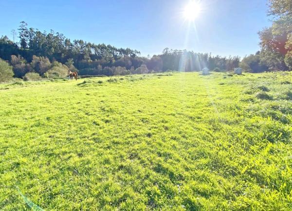 Terreno en A Capela