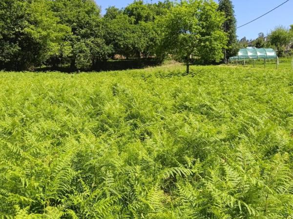 Terreno en Lugar Vilariño