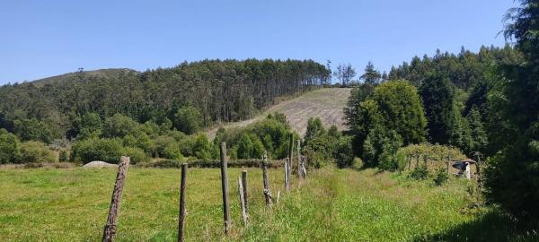 Terreno en Lugar Cabodantoi, 5