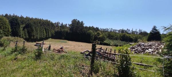 Terreno en Lugar Cabodantoi, 5