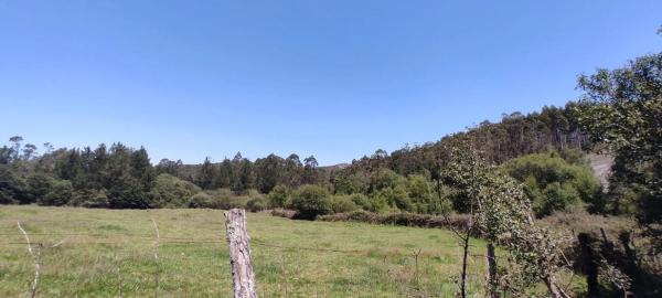Terreno en Lugar Cabodantoi, 5