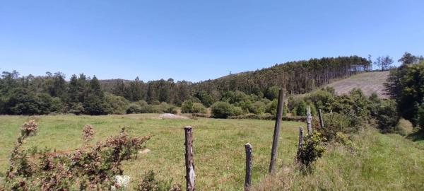 Terreno en Lugar Cabodantoi, 5