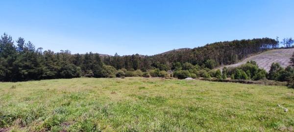 Terreno en Lugar Cabodantoi, 5