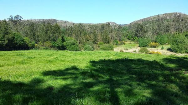 Terreno en Lugar Cabodantoi, 5