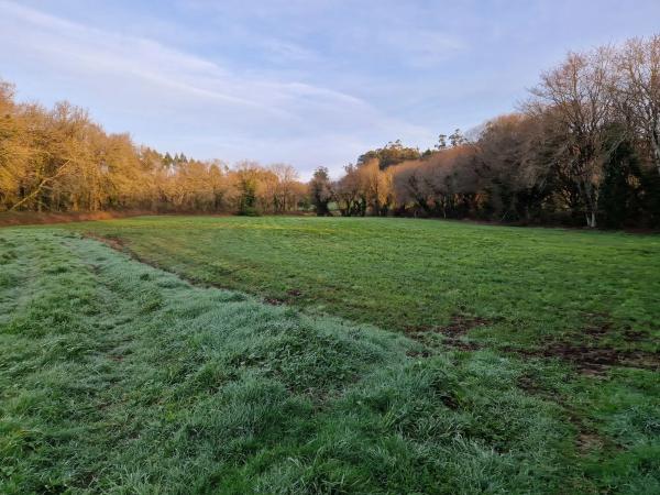 Terreno en Lugar Calzada, 4