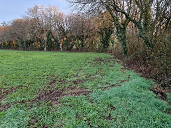 Terreno en Lugar Calzada, 4