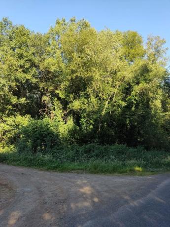 Terreno en sitio da fonte fría, 85