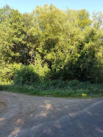 Terreno en sitio da fonte fría, 85