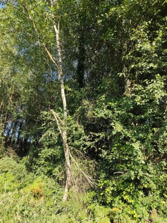 Terreno en sitio da fonte fría, 85