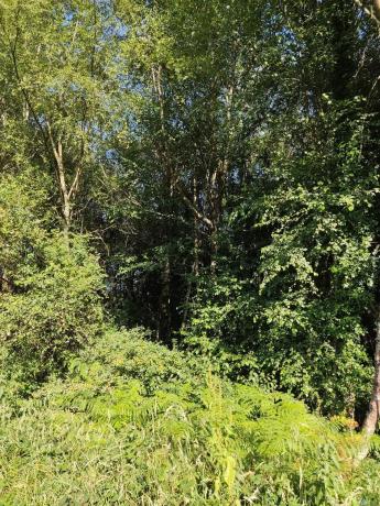 Terreno en sitio da fonte fría, 85