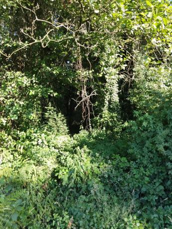 Terreno en sitio da fonte fría, 85