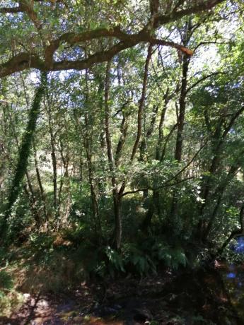 Terreno en sitio da fonte fría, 85