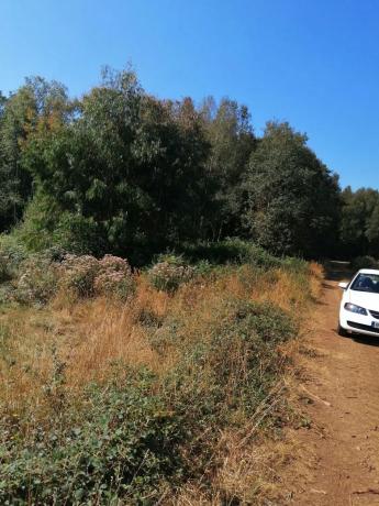 Terreno en sitio da fonte fría, 85