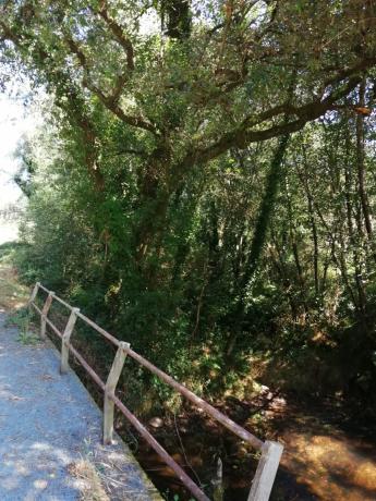 Terreno en sitio da fonte fría, 85