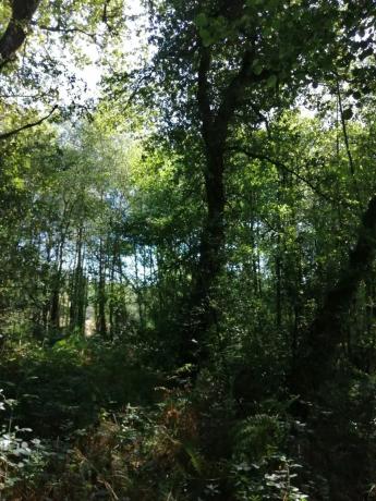 Terreno en sitio da fonte fría, 85