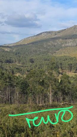 Terreno en Dp-7303 s/n