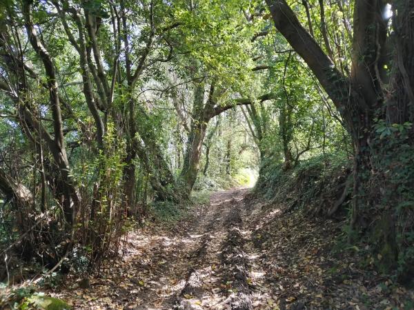 Terreno en camino Caramecheiro s/n