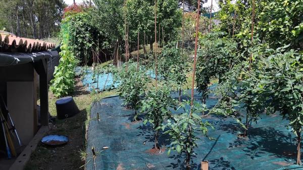 Terreno en lixo oleiros ribeira