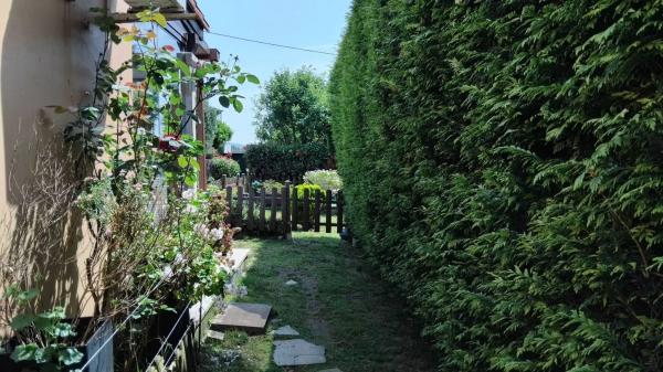 Terreno en lixo oleiros ribeira