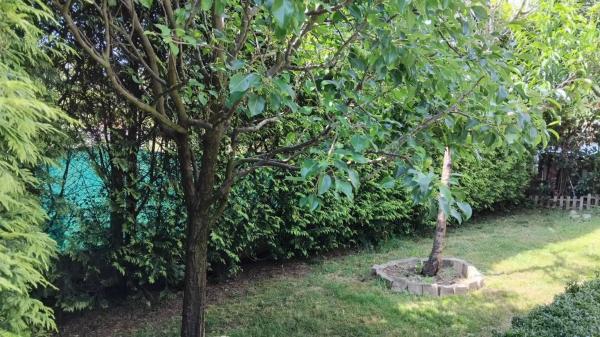 Terreno en lixo oleiros ribeira