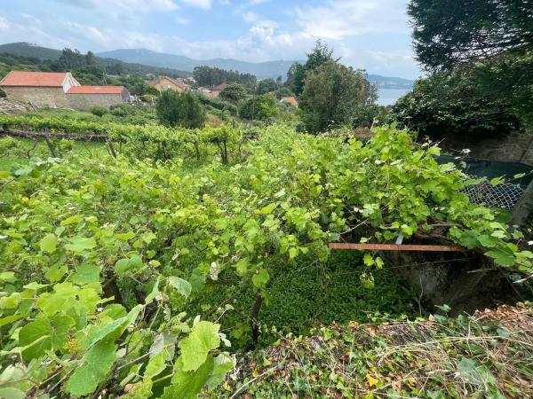 Terreno en Aldea Rial, 133