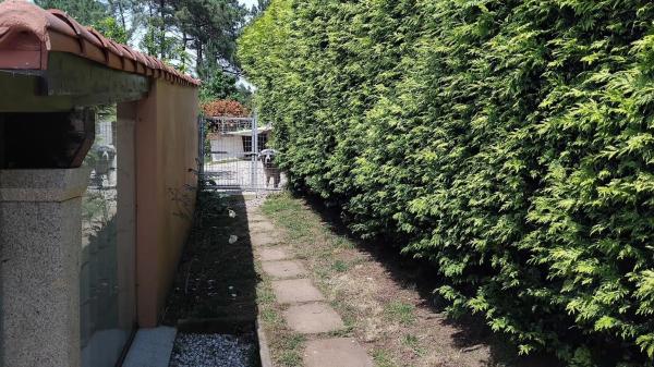 Terreno en lixo oleiros ribeira