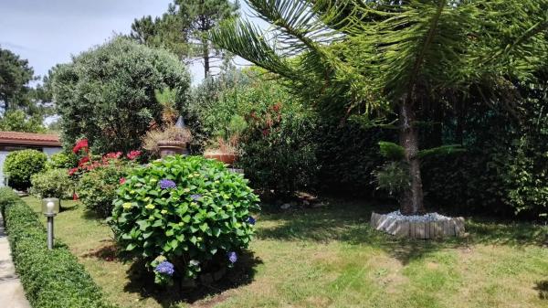 Terreno en lixo oleiros ribeira