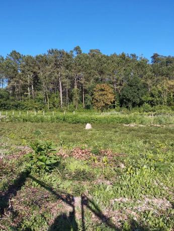 Terreno en Ponte Barbanza, 36