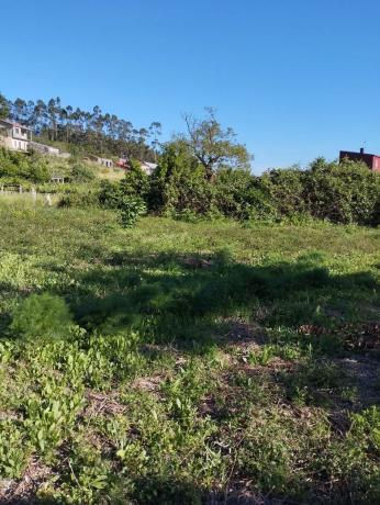 Terreno en Ponte Barbanza, 36