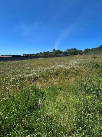 Terreno en Corrubedo - Oleiros - Olveira