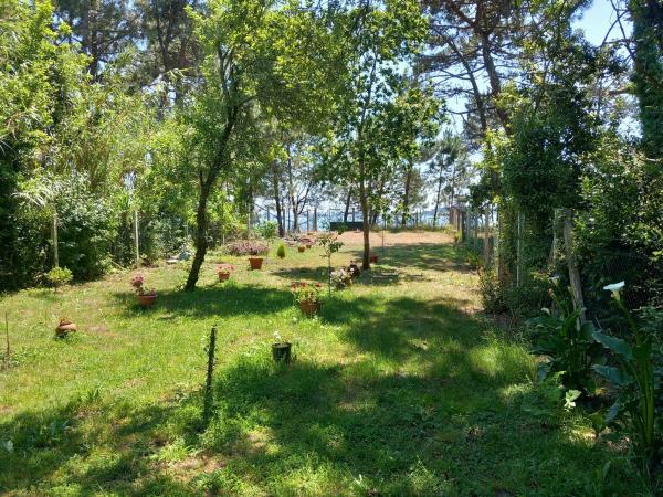 Terreno en Praia Mañóns s/n sn