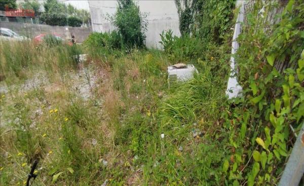 Terreno en calle Monumento, 7