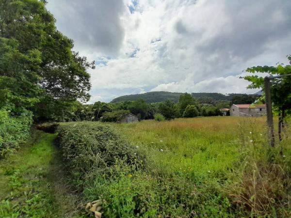 Terreno en Brazos s/n