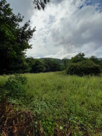 Terreno en Brazos s/n