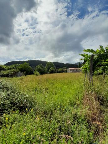 Terreno en Brazos s/n